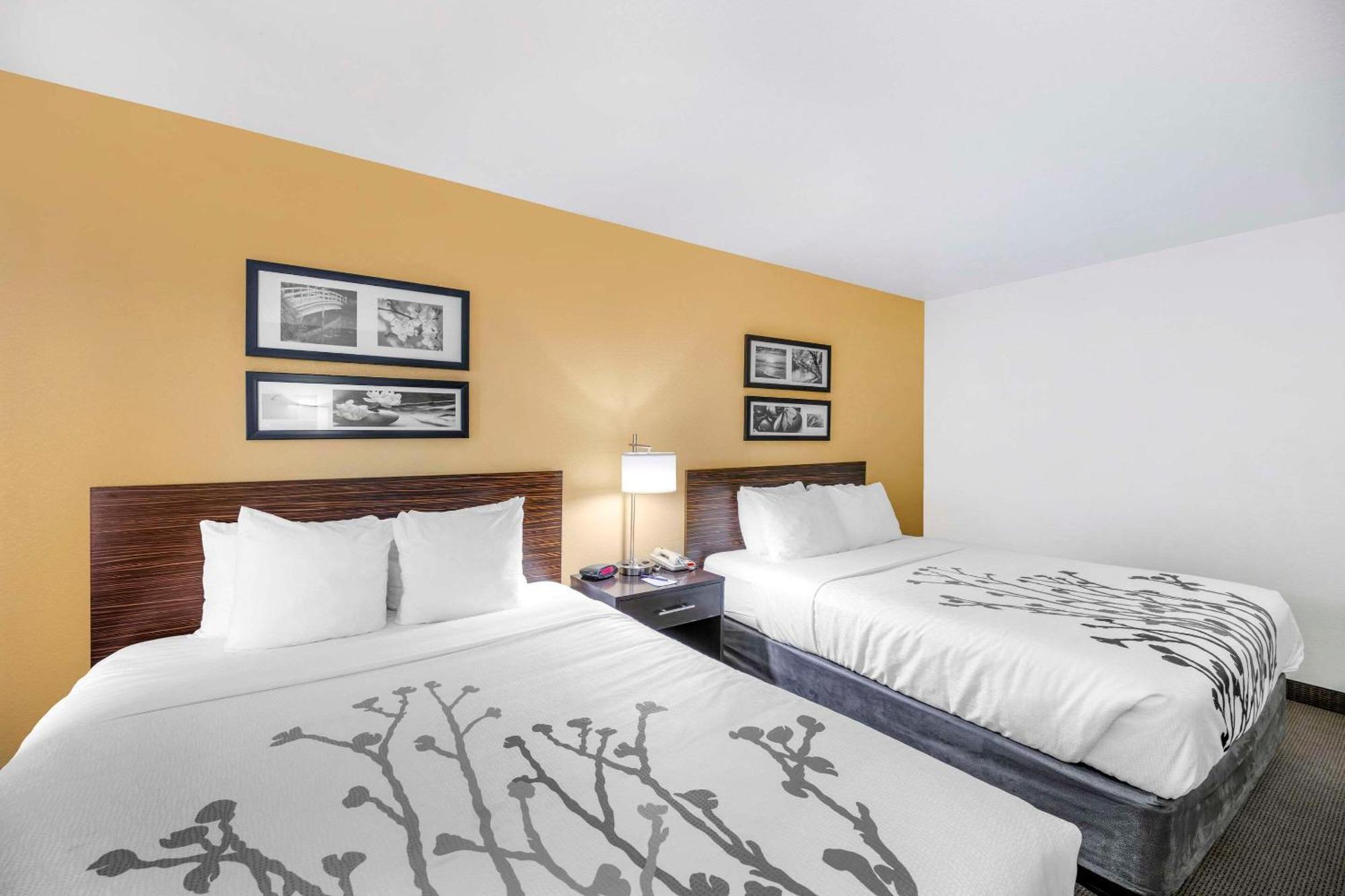 Sleep Inn & Suites Carlsbad Caverns Area Eksteriør billede